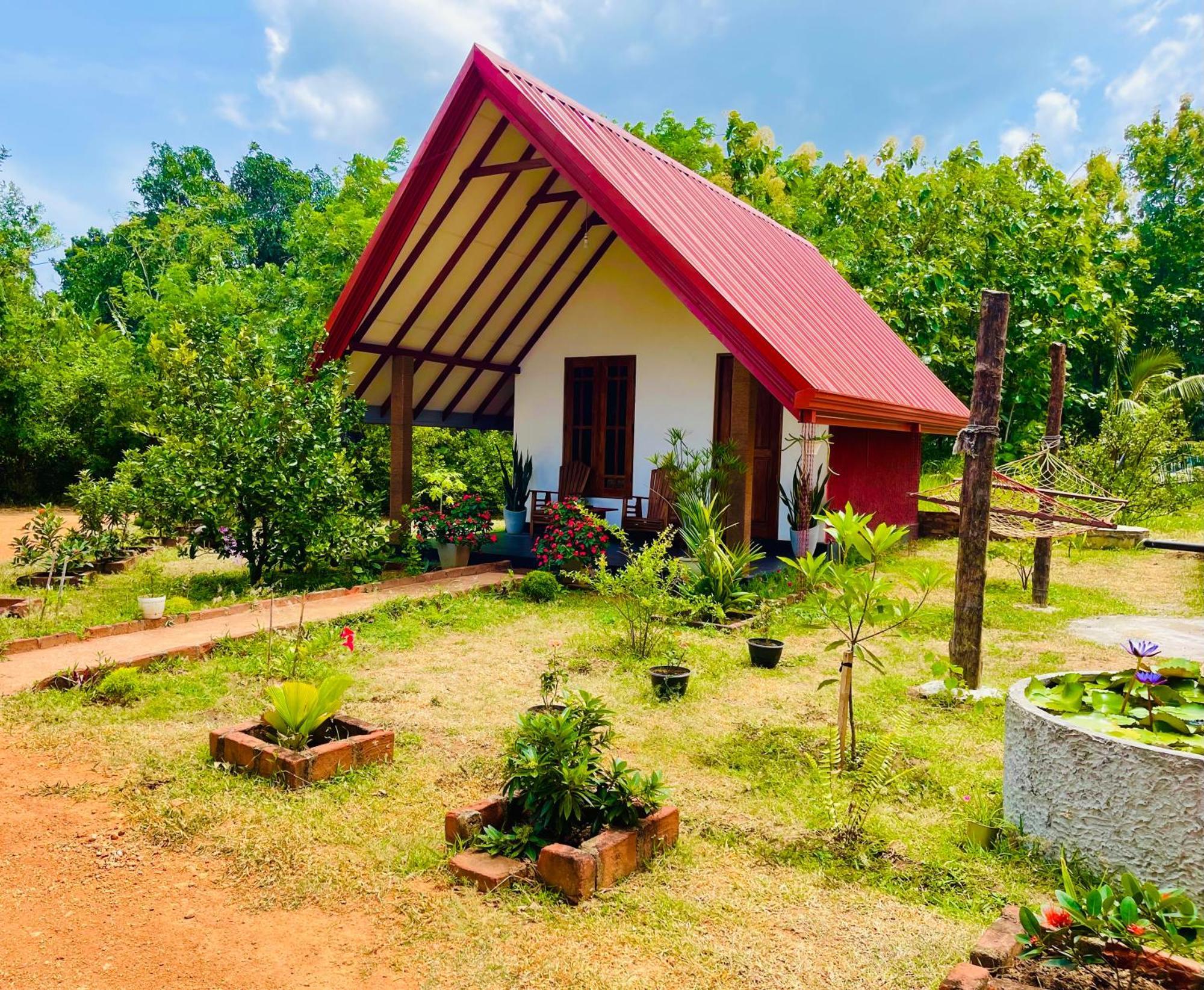 Sigiri Enaya Cottage Sigiriya Exterior foto