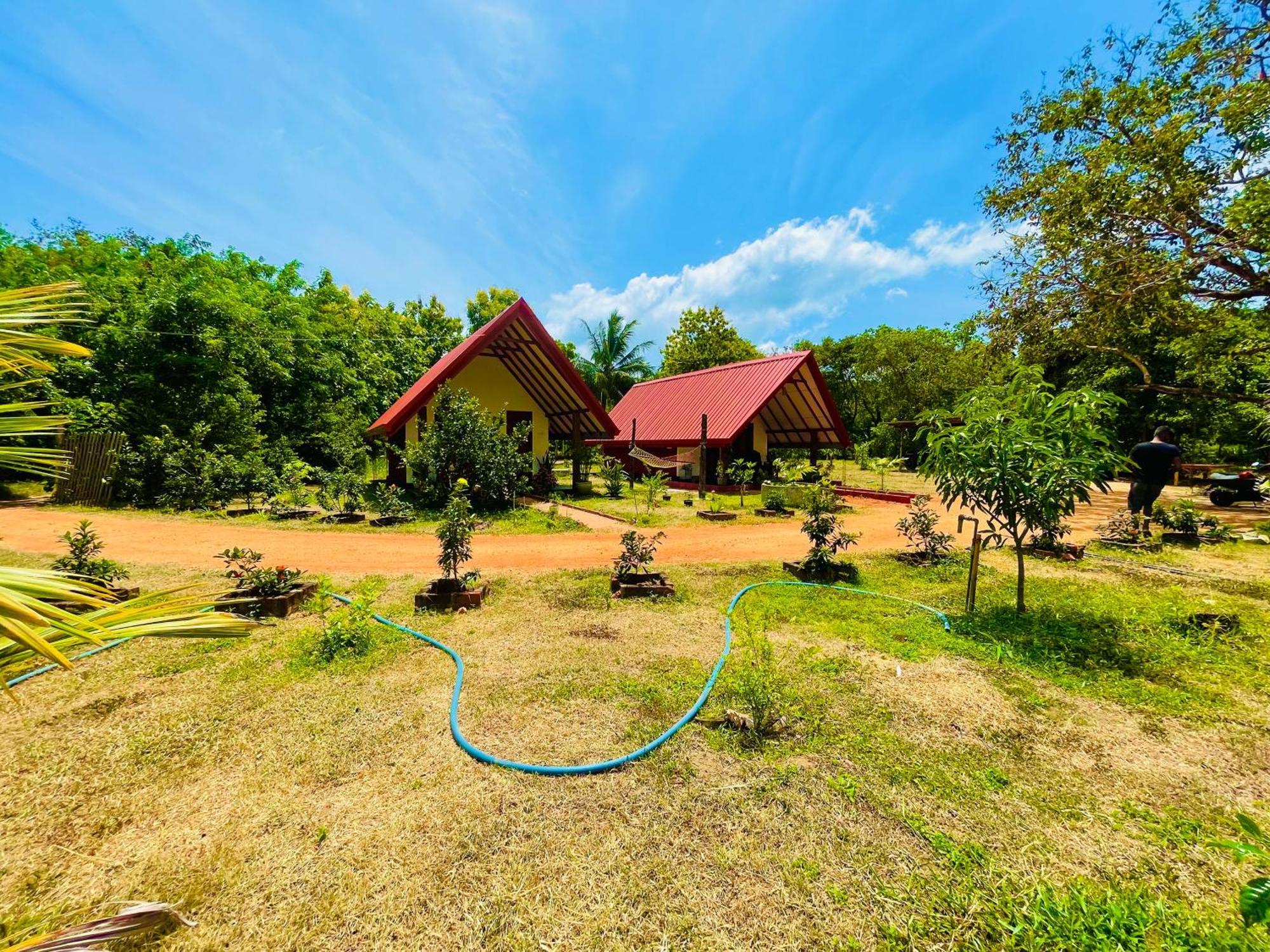 Sigiri Enaya Cottage Sigiriya Exterior foto